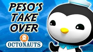 Octonauts  Pesos take over  Cartoons for Kids  Underwater Sea Education [upl. by Nnylaehs]