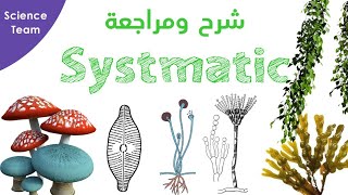 Botany Systematic Lab  Fungi Kingdom  شرح مملكة الفانجايالفطريات [upl. by Jerz]