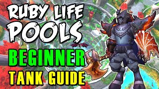 RUBY LIFE POOLS  Dragonflight Dungeon Tank Guide for Beginners of WoW [upl. by Hoxie6]