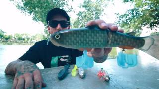 best swimbaits for beginners [upl. by Hillyer]