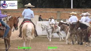 Coleadas Lienzo Charro De Amatitan Jalisco Carnaval 2016 [upl. by Yance517]