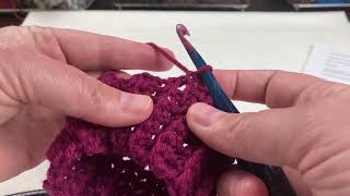 How to Crochet a Preemie Beanie [upl. by Gamber]