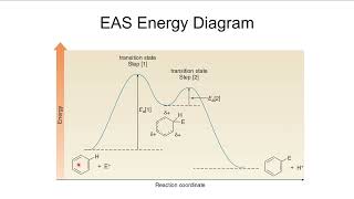 Organic Chemistry II CHEM2425 Ch 16 Reactions of Aromatic Compounds Part 1 [upl. by Gerc]