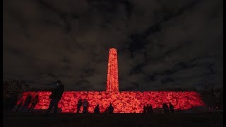 Liberty Memorial ablaze with animated poppies in dramatic WWI commemoration [upl. by Nath107]