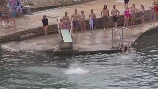 Austin residents plunge into 2023 at Barton Springs Pool  FOX 7 Austin [upl. by Fitting]