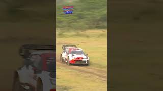 🚗💥 WRC Rally 2023 Crash Highlights rallylegend wrc wrcrallye rallying drift drifting [upl. by Beacham]