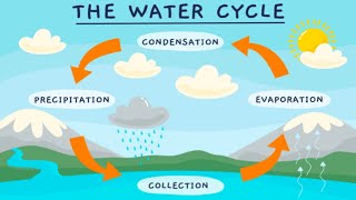 WATER CYCLE💧 The water cycle process  Easy science video [upl. by Citron]