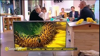 Le pollen quotun super aliment quot méconnu   La Quotidienne [upl. by Earaj537]