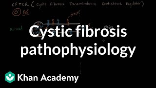 Cystic fibrosis pathophysiology  Respiratory system diseases  NCLEXRN  Khan Academy [upl. by Ahsad]