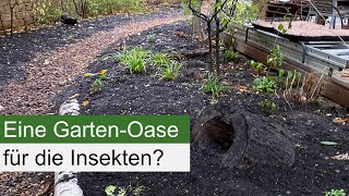 Ein neuer Naturgarten entsteht unter altem Strauch und Baumbestand [upl. by Grethel]