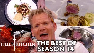 The Best Moments Of Hells Kitchen Season 14 [upl. by Jackie]