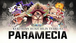 10 Buah Iblis Tipe Paramecia Terkuat di One Piece [upl. by Froemming]