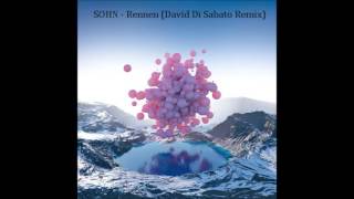 SOHN  Rennen David Di Sabato Remix [upl. by Clarence]