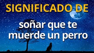 Que significa soñar que te muerde un perro 💤 Interpretación de los Sueños [upl. by Eimmac]