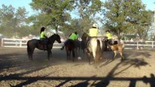 Horse Square Dancing1st place Battle of the Saddles Marshall County fair Warren MN [upl. by Einobe]