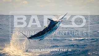 Fishing Ascension Island Part 3 The Bite We Came Here For [upl. by Birck451]