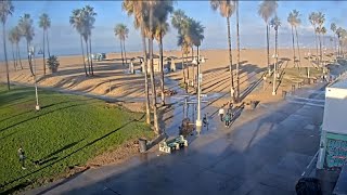 Venice Beach Webcam  Venice Beach Live Cam  venice beach live boardwalk cam [upl. by Tessa]