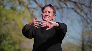 Qigong Full 20Minute Daily Routine [upl. by Sonnnie767]