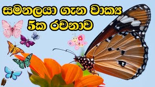 සමනලයා ගැන වාක්‍ය රචනාවsamanalaya gana rachanasamanalaaya gana wekisamanalaya gena rachana [upl. by Selhorst]