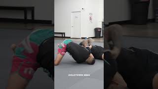 BJJ Takedowns amp Single Leg Counter 🥋 [upl. by Nuahsor364]