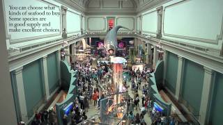 NMNH Turns Into Grand Central Station With Flash Mob [upl. by Eeresid39]