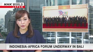 IndonesiaAfrica Forum underway in BaliーNHK WORLDJAPAN NEWS [upl. by Tolecnal]