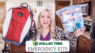 HOW TO MAKE A DOLLAR TREE 72HOUR EMERGENCY BAG OR KIT [upl. by Yajnas]