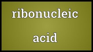 Ribonucleic acid Meaning [upl. by Ennovahc789]