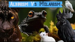 What is Melanism [upl. by Annahahs562]