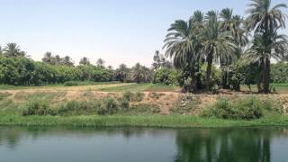 NILE DRIFT  40 Minutes of Relaxing Nile Cruise Footage with Natural River Water Sounds  No Music [upl. by Borlase29]