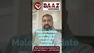 Hiring in cafe near Saskatoon Baaz immigration Raj Cheema📞6399980666📍SaskatoonSK [upl. by Elynad]