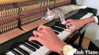 Fur Elise Piano Meowssage [upl. by Enytsirhc527]