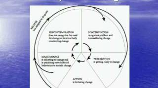 Stages of Behavior Change [upl. by Harri376]