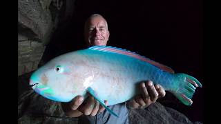 Cave Fishing Kalbarri 2018 [upl. by Annoyek]