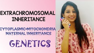 Extra Chromosomal InheritanceCytoplasmic inheritanceChloroplast•mitochondrial•maternal inheritance [upl. by Emmie]