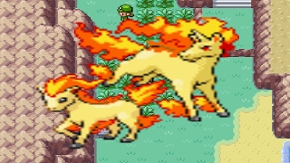 How to find Ponyta and Rapidash in Pokemon Fire Red and Leaf Green [upl. by Irtak]