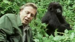 Sir David Attenborough  The story behind Life on Earth  BBC [upl. by Sapphira679]