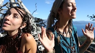 Rising Appalachia Medicine Official Music Video [upl. by Nylaroc]