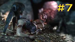 WILL LARA SURVIVE THIS BRUTAL ATTACK TOMB RAIDER WALKTHROUGH  PART 7 [upl. by Osbert]