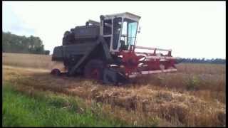 Gleaner K Wheat Harvest [upl. by Olim]