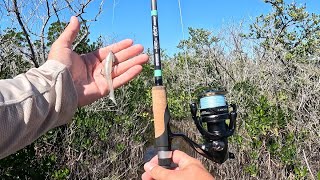 Hot Bite on a Cold Day Inshore Fishing [upl. by Relyc]