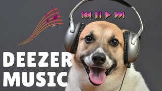 How to Listen to Music Offline on Deezer 🎵 [upl. by Cul871]