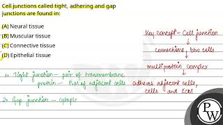 Cell junctions called tight adhering and gap junctions are found in [upl. by Ysiad835]