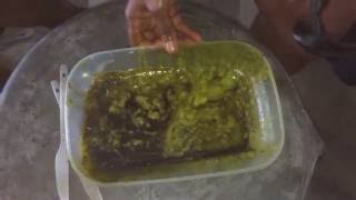 How to Make Virgin Avocado Oil at Home [upl. by Nilo]