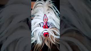 Javanese traditional Barongan dance [upl. by Aina]