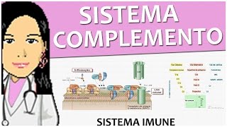 Imunologia 13  Sistema complemento vídeoaula [upl. by Shelburne]