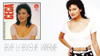 Ceca  Sve u svoje vreme  Audio 1990 HD [upl. by Bronny]