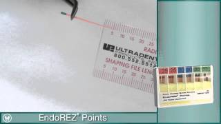 Root Canal Obturation using EndoEze EndoREZ from Ultradent [upl. by Acinet627]