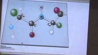 Protein Structure II [upl. by Roch]