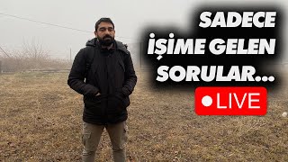 Sadece İşime Gelen Sorular  6 [upl. by Annert763]